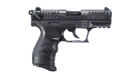 P22 3.42" 10RD 22LR California